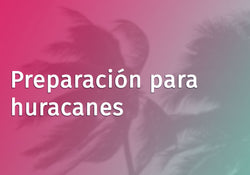 Hurricane Preparedness