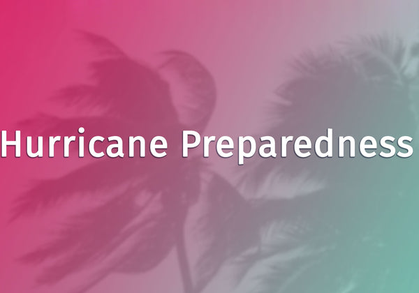 Hurricane Preparedness