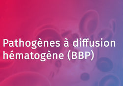 Bloodborne Pathogens (BBP) (French Canadian)