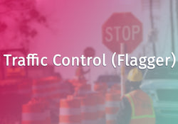 Traffic Control (Flagger)