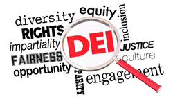 Florida HB 7 DEI WOKE Act