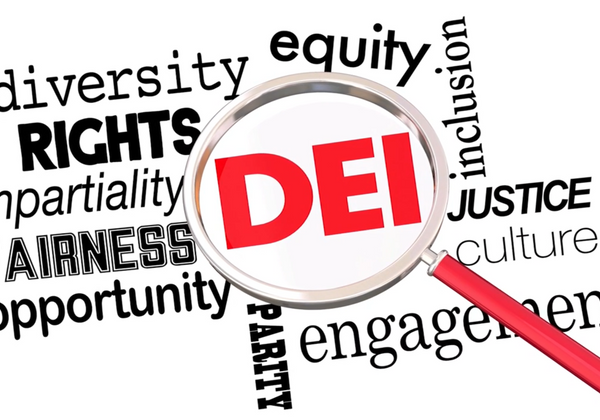 Florida HB 7 DEI WOKE Act