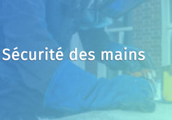 Hand Safety (French Canadian)