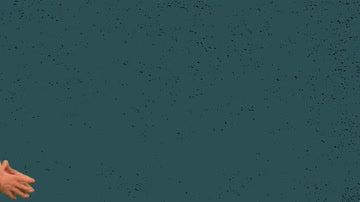 Mentoring: Creating a Successful Mentoring Relationship