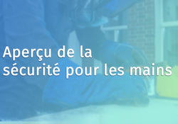 Hand Safety Overview (French Canadian)