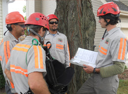 Hazard Recognition - Training Network
