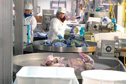 Packing House Safety - Training Network