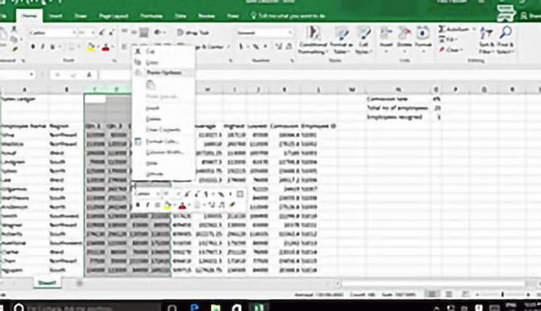 Microsoft Excel 2016 Level 1.3: Modifying a Worksheet - Training Network
