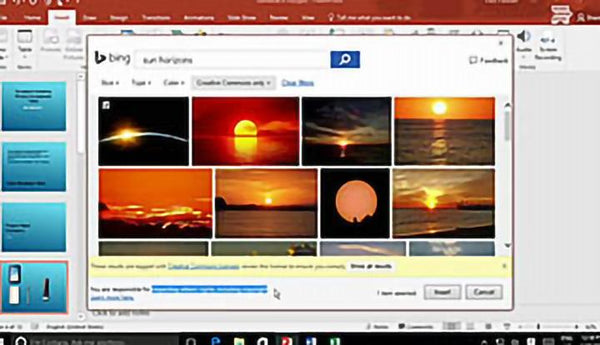 Microsoft PowerPoint 2016 Level 1.4: Adding Graphical Elements to Your Presentation - Training Network
