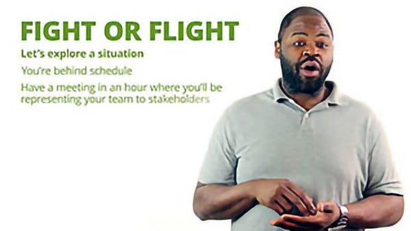 Assert Yourself - Training Network