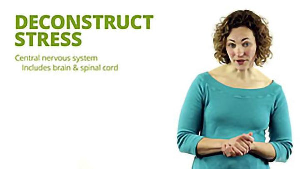 Manage Workplace Stress - Training Network