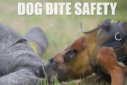 Dog Bite Prevention - Training Network