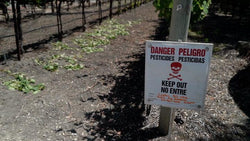 Pesticide Safety: The Basics - Training Network