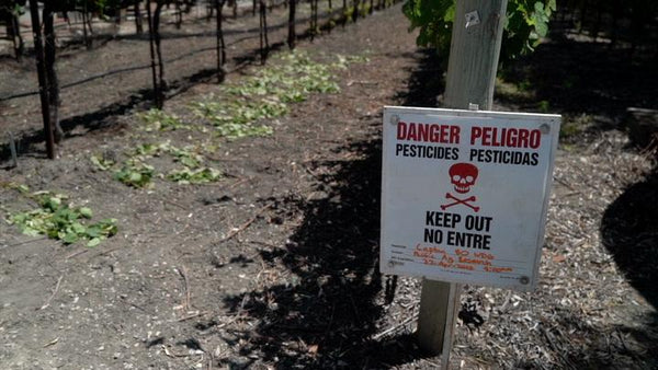 Pesticide Safety: The Basics - Training Network