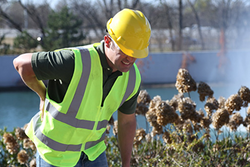 Back Injury Awareness