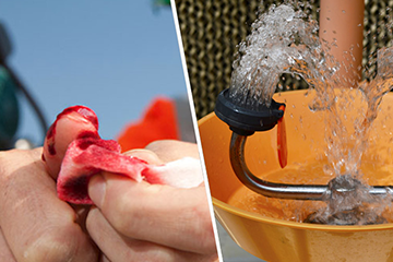 Bloodborne Pathogens Awareness