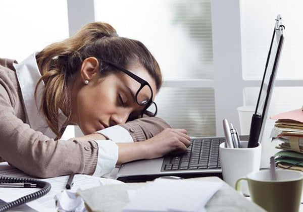 Energy Management and Productivity