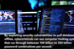 Cyber Security For Employees - Training Network