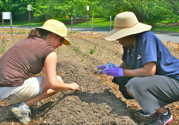 Landscape Safety Orientation