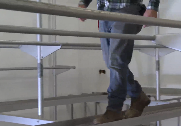 Walking and Working Surfaces in Industrial Environments