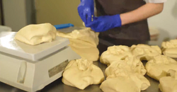 Good Manufacturing Practices in the Food Industry Part I