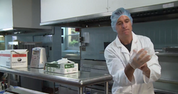 Good Manufacturing Practices in the Food Industry Part II