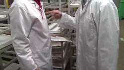 Workplace Violence in Food Processing and Handling Environments