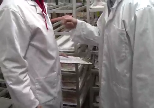 Workplace Violence in Food Processing and Handling Environments