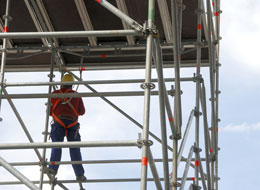 Scaffold Safety Update - Training Network