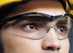 To The Point About: Preventing Eye Injuries - Training Network