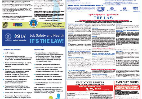 Federal & State Labor Law Poster - Training Network