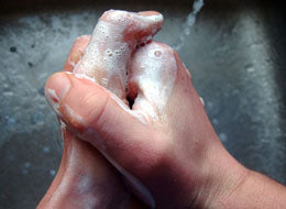 Handwashing - Get the Picture? - Training Network