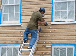 Ladder Safety - Training Network