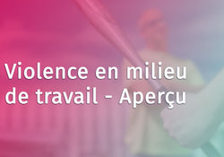 Violence in the Workplace Overview (French Canadian)