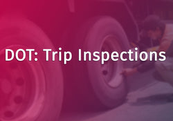 DOT: Trip Inspections