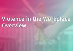 Violence in the Workplace Overview