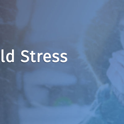 Heat Stress &amp; Hypothermia