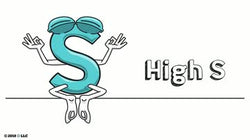 DISC: Leading High S