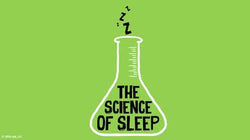 The Science of Sleep: How Much Sleep Do You Need?