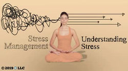 Stress Management: 01. Understanding Stress and Burnout