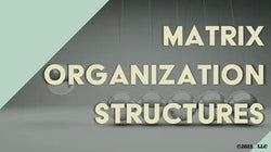 Matrix Organization Structures