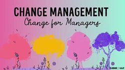 Change Management: Change for Managers
