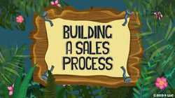 Building A Sales Process