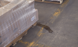 Spill Cleanup: The Basics