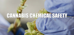 Cannabis Chemical Safety