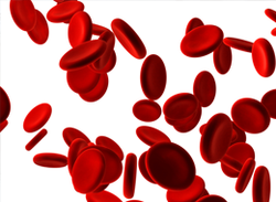Bloodborne Pathogens - Know the Risk - Training Network