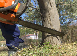Chainsaw Accidents - The Consequences - Training Network