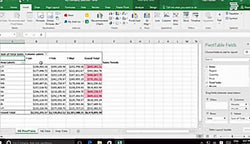 Microsoft Excel 2016 Level 3.5: Creating Sparklines and Mapping Data - Training Network