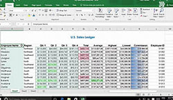 Microsoft Excel 2016 Level 1.6: Managing Workbooks - Training Network