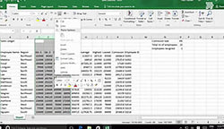 Microsoft Excel 2016 Level 1.3: Modifying a Worksheet - Training Network